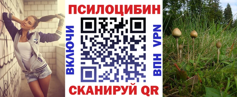 где можно купить наркотик  Нерюнгри  МЕГА рабочий сайт  Галлюциногенные грибы прущие грибы 